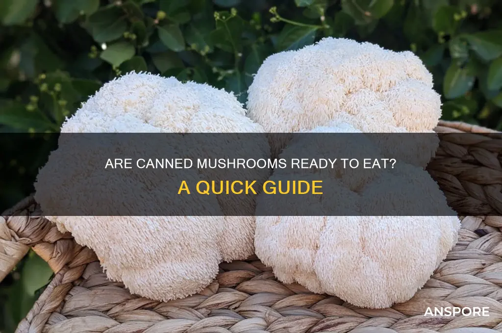 are canned mushrooms ready to eat