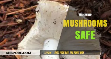 Are Canned Mushrooms Safe? Uncovering the Truth About Preserved Fungi