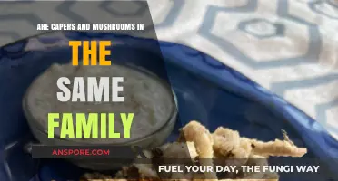 Capers vs. Mushrooms: Are They Related or Just Culinary Companions?