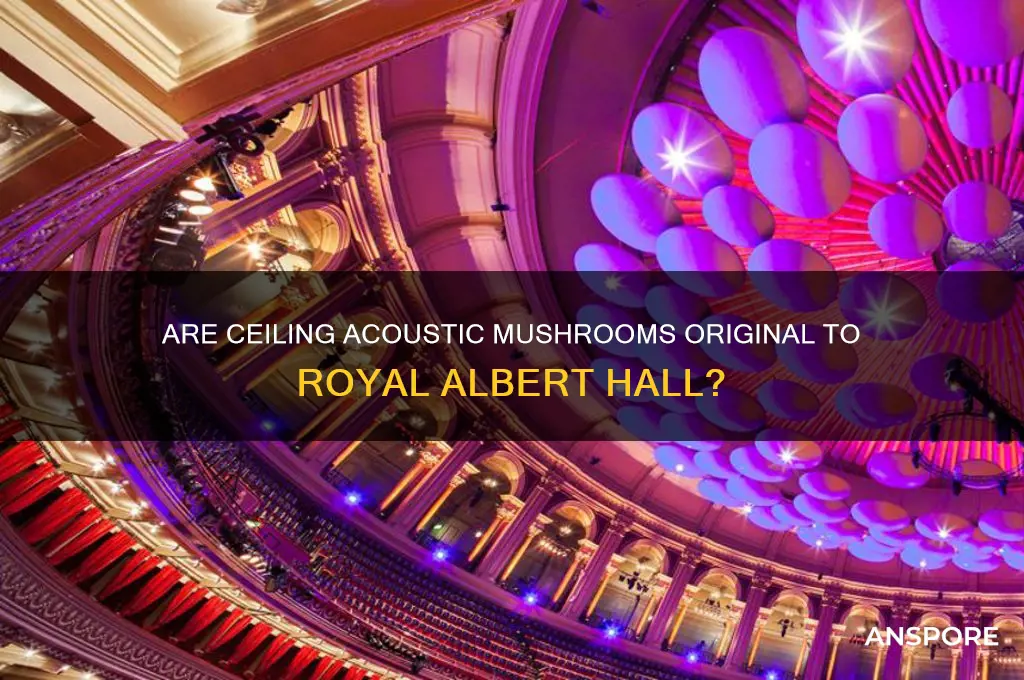 are ceiling acoustic mushrooms royal albert hall original