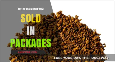 Chaga Mushrooms: Are Packaged Options Available for Purchase?