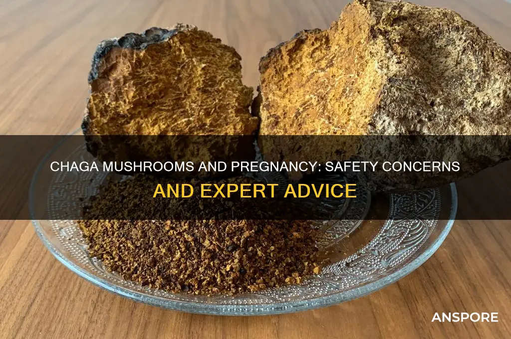 are chaga mushrooms safe during pregnancy