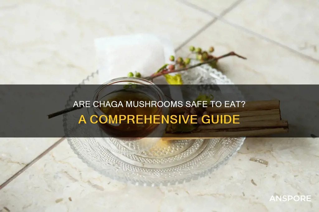 are chaga mushrooms safe to eat