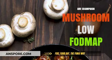 Champignons and FODMAPs: Friend or Foe?