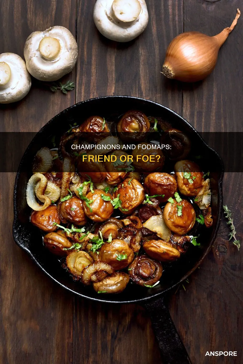 are champaign mushrooms low fodmap