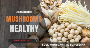 Champignon Mushrooms: Healthy Superfood or Not?