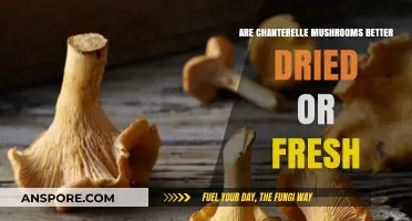 Fresh vs. Dried Chanterelles: Which Offers Superior Flavor and Texture?