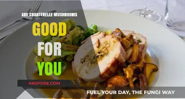 Chanterelle Mushrooms: Nutritional Benefits and Health Advantages Explained