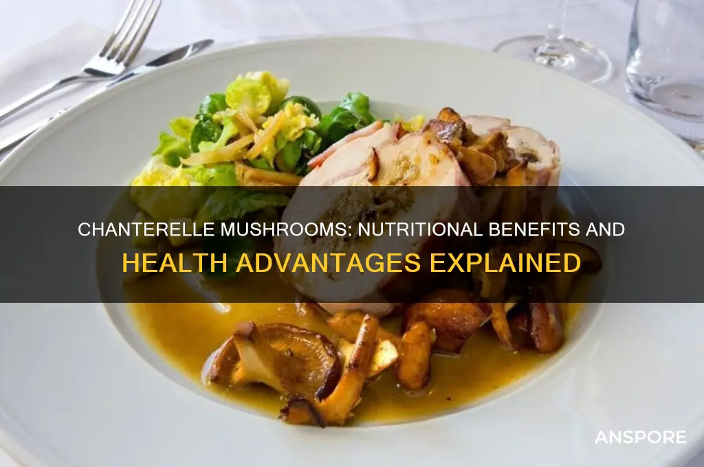 are chanterelle mushrooms good for you