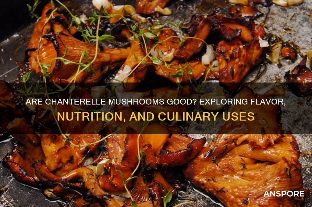 are chantrelle mushrooms good