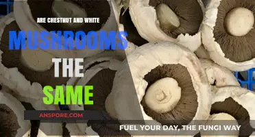 Chestnut vs. White Mushrooms: Unveiling the Differences and Similarities