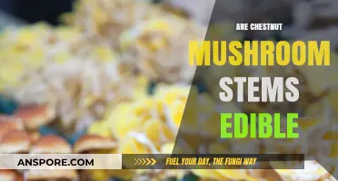 Can You Eat Chestnut Mushroom Stems? A Complete Edibility Guide