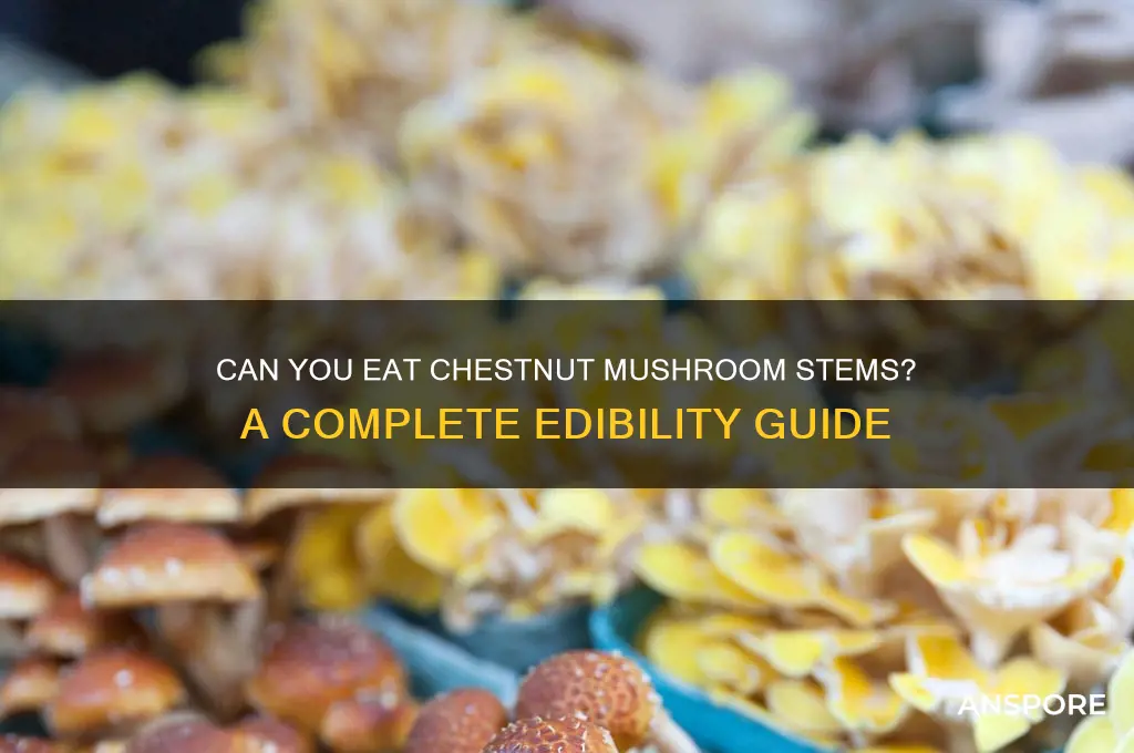 are chestnut mushroom stems edible
