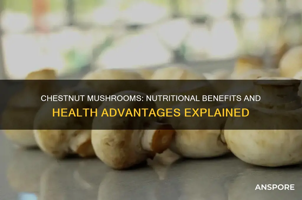 are chestnut mushrooms good for you