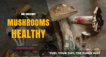 Chestnut Mushrooms: Super Healthy or Super-Food?