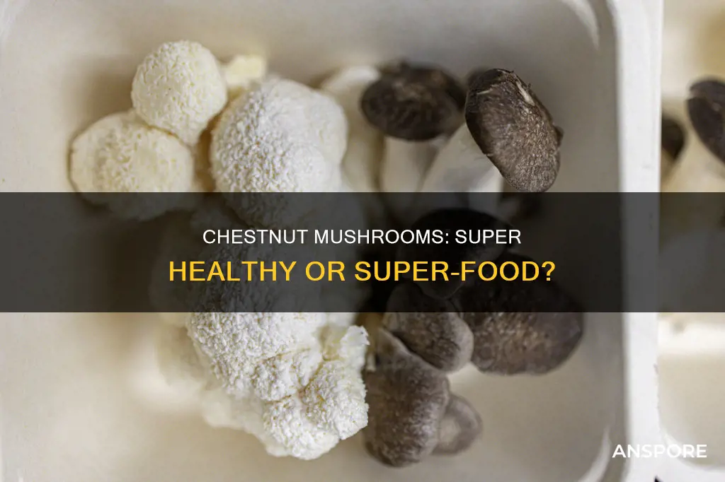 are chestnut mushrooms healthy