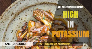 Chestnut Mushrooms and Potassium: Unveiling Their Nutritional Benefits