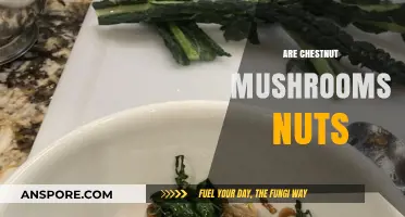 Are Chestnut Mushrooms Nuts? A Quick Guide