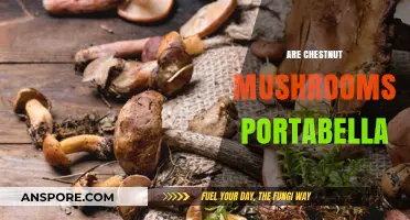 Chestnut and Portabella Mushrooms: What's the Difference?