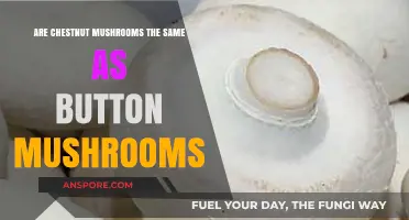Chestnut vs. Button Mushrooms: Unraveling the Differences and Similarities