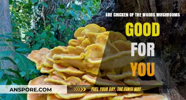 Chicken of the Woods Mushrooms: Nutritional Benefits and Health Impacts