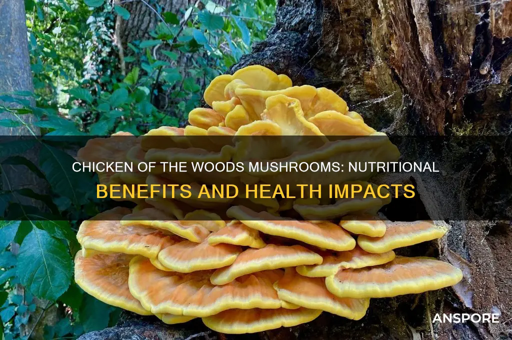 are chicken of the woods mushrooms good for you
