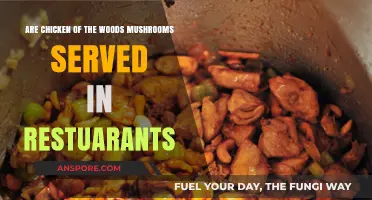 Are Chicken of the Woods Mushrooms a Restaurant Menu Staple?