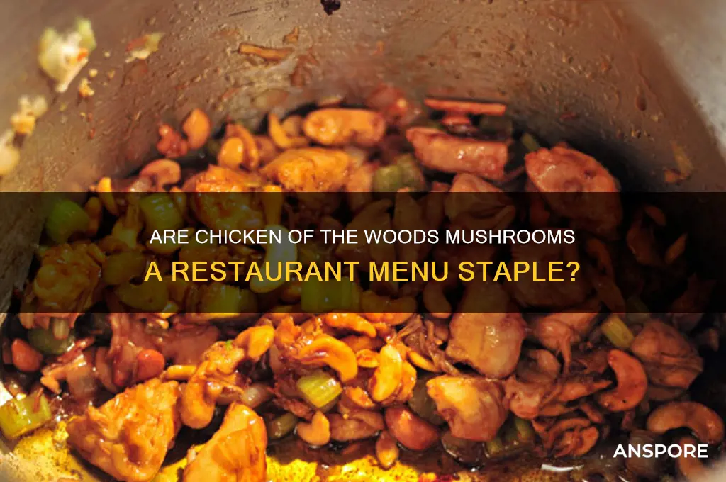 are chicken of the woods mushrooms served in restuarants