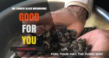 Chinese Black Mushrooms: Unveiling Their Health Benefits and Nutritional Value