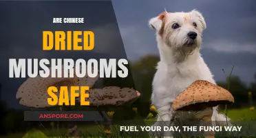 Dried Chinese Mushrooms: Are They Safe to Eat?