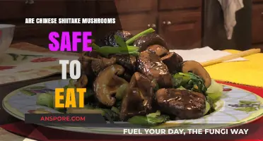 Are Chinese Shiitake Mushrooms Safe? A Comprehensive Guide