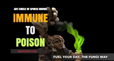 Circle of Spores Druids: Poison Immunity Explained in D&D 5e