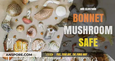 Are Clustered Bonnet Mushrooms Safe to Eat?