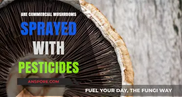 Are Commercial Mushrooms Sprayed with Pesticides? The Truth Revealed