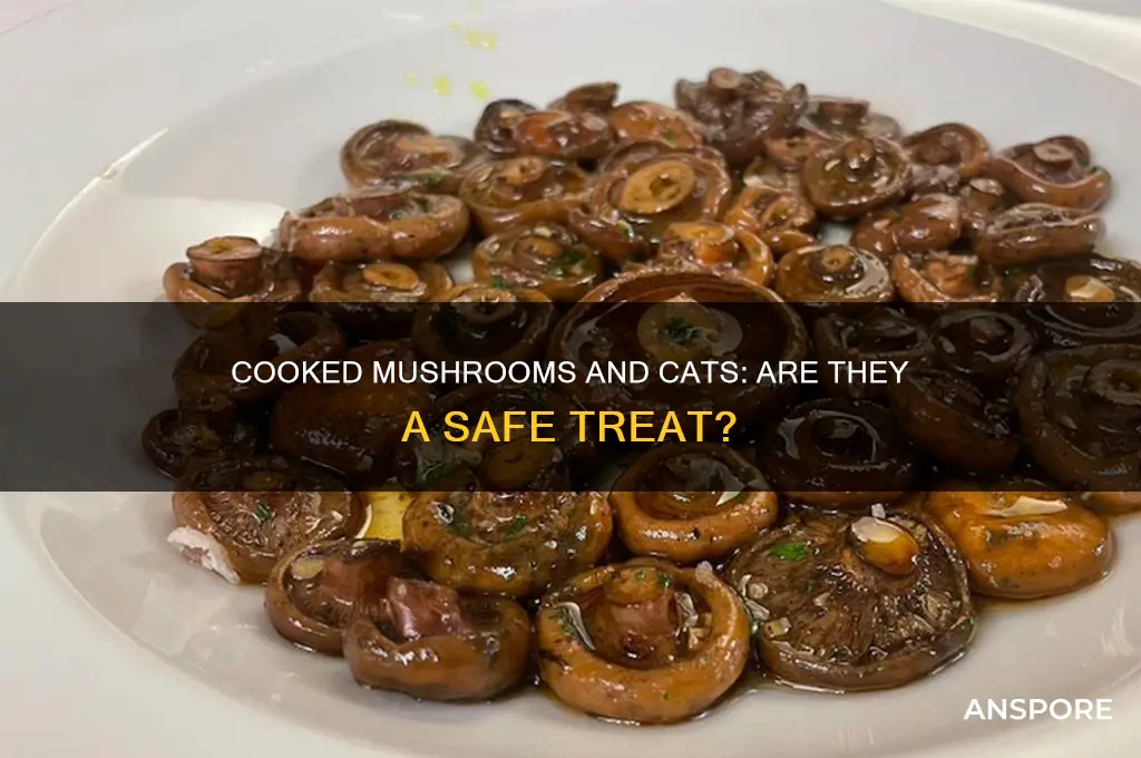 are cooked mushrooms bad for cats
