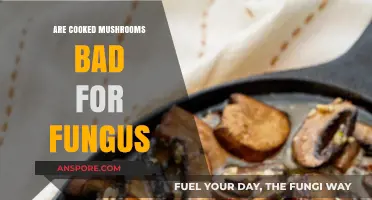 Cooked Mushrooms and Fungus: Debunking Myths About Diet and Health