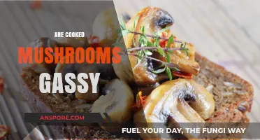 Do Cooked Mushrooms Cause Gas? Unraveling the Truth Behind Bloating