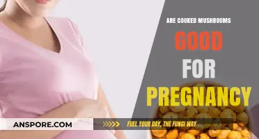 Cooked Mushrooms and Pregnancy: Nutritional Benefits and Safety Tips