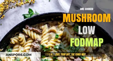 Cooked Mushrooms and Low FODMAP Diets: What You Need to Know
