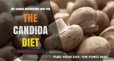 Can You Eat Cooked Mushrooms on a Candida Diet? Find Out!