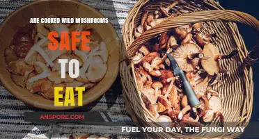 Cooked Wild Mushrooms: Safe to Eat or Risky Business?