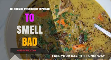 Do Cooking Mushrooms Smell Bad? Unraveling the Fungal Aroma Mystery