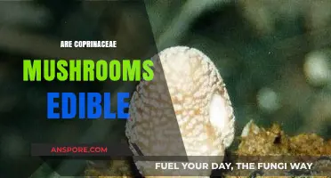 Exploring the Edibility of Coprinaceae Mushrooms: Safe or Toxic?