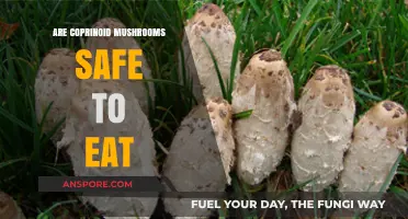 Are Coprinoid Mushrooms Safe to Eat? A Comprehensive Guide