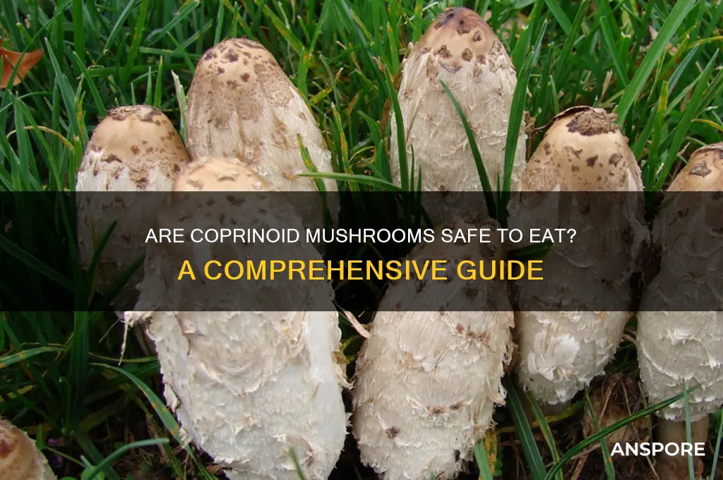 are coprinoid mushrooms safe to eat
