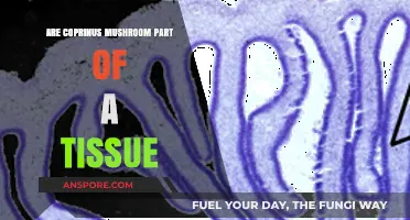 Coprinus Mushrooms: Tissue or Not? Unraveling the Fungal Mystery