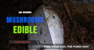 Are Coprinus Mushrooms Edible? A Guide to Safe Consumption