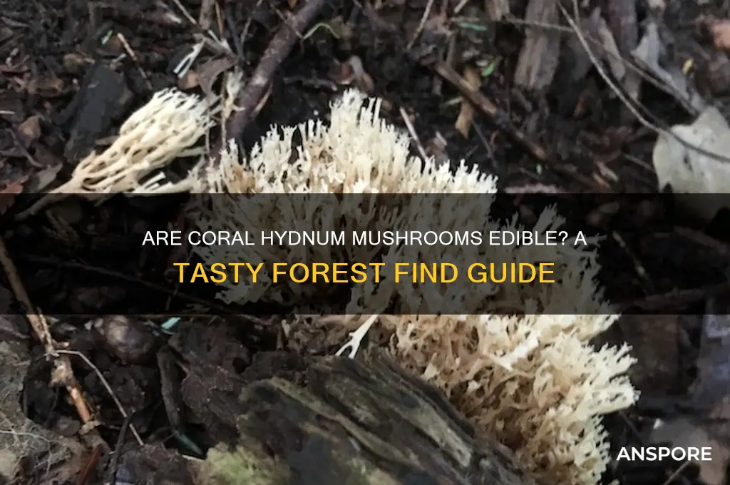 are coral hydnum mushroom edible