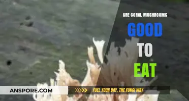 Are Coral Mushrooms Edible? A Guide to Safe Consumption