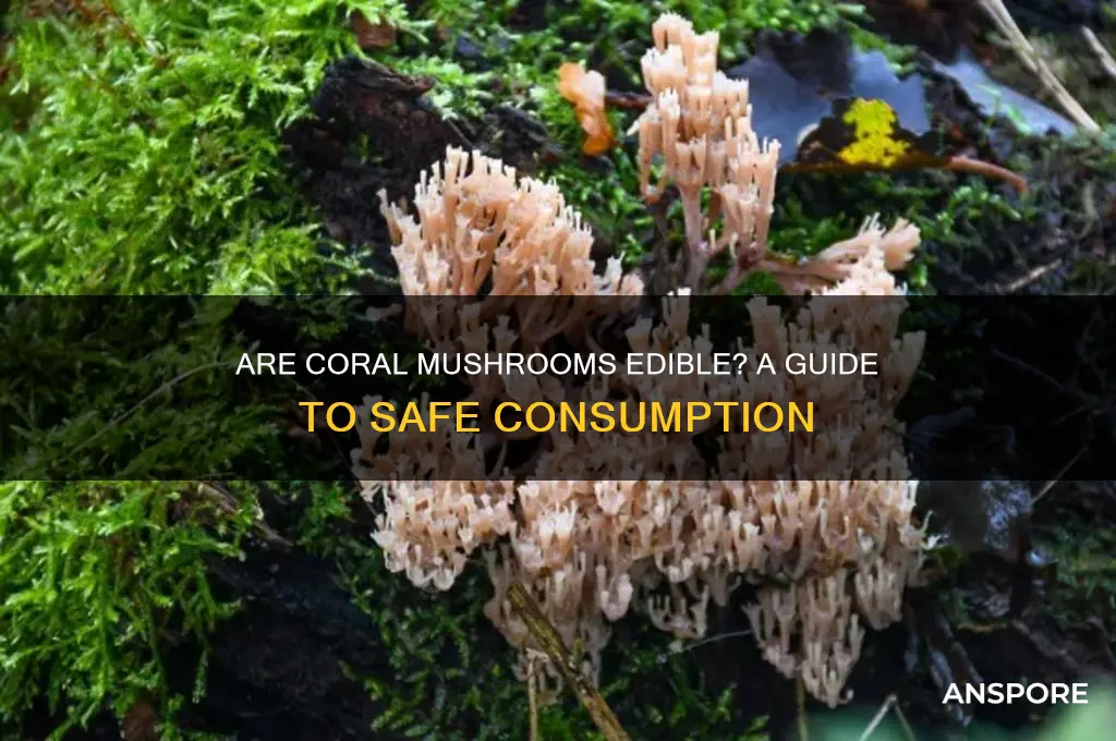 are coral mushrooms good to eat